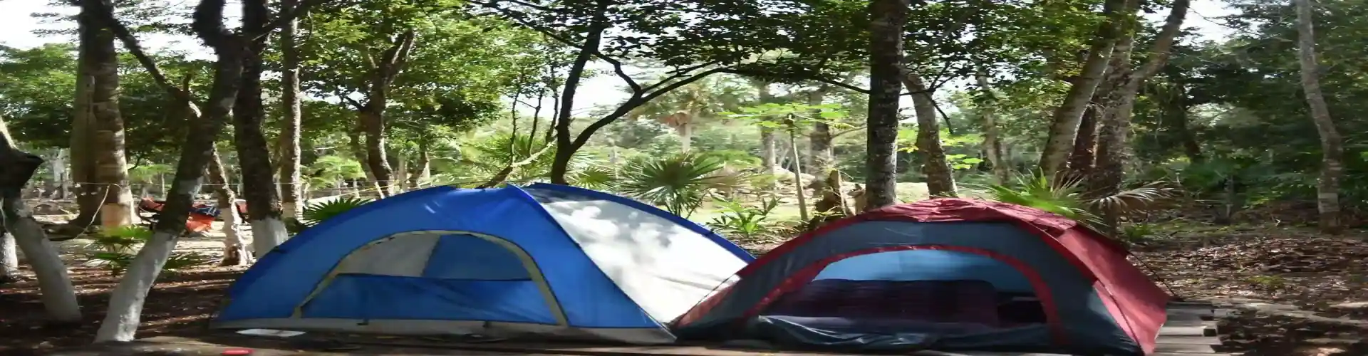 Cenote Amistad | Camping