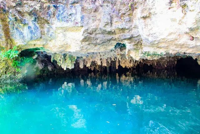 cenote amistad en la ruta de cenotes