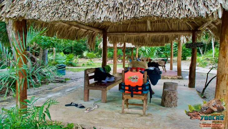 palapa en 7 bocas