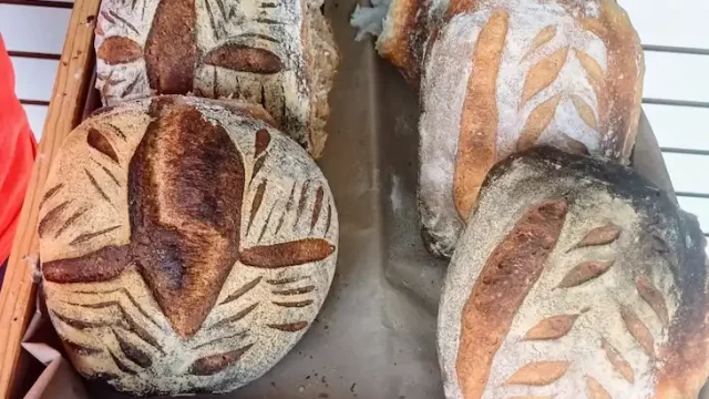 pan artesanal en puerto morelos