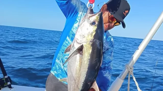 pesca