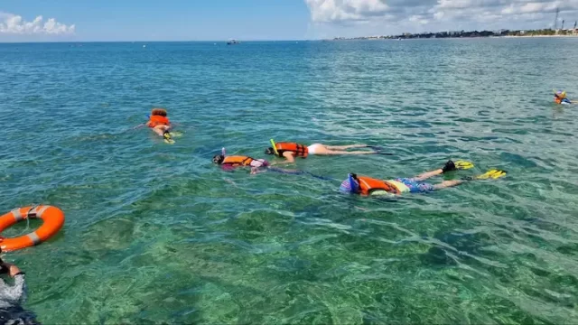 snorkel