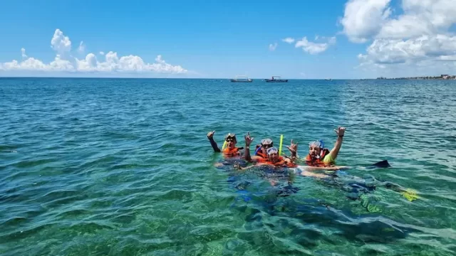 snorkel puerto morelos