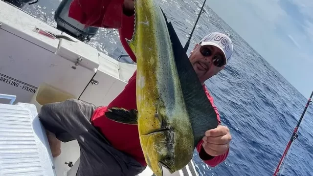 Tour de snorkel en Puerto Morelos con Eclipse Adventures