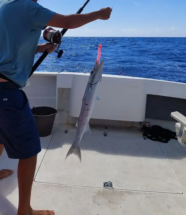 tour de pesca puerto morelos