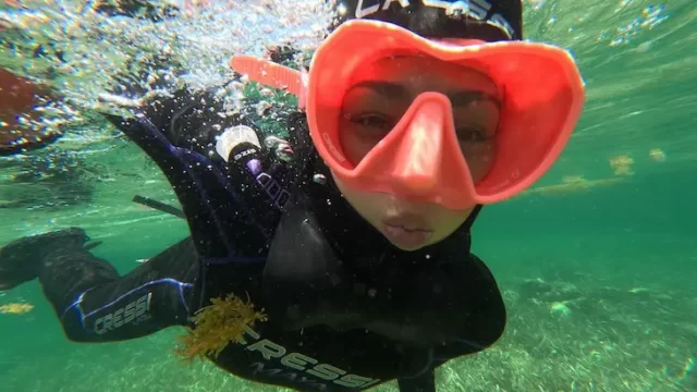 snorkel en puerto morelos