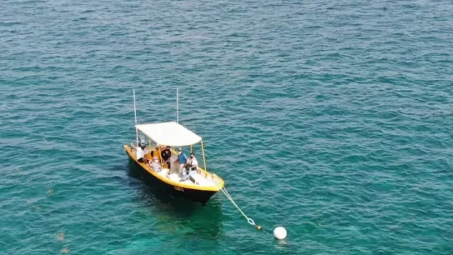 snorkel puerto morelos