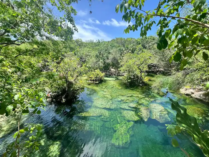 tour al cenote max tours