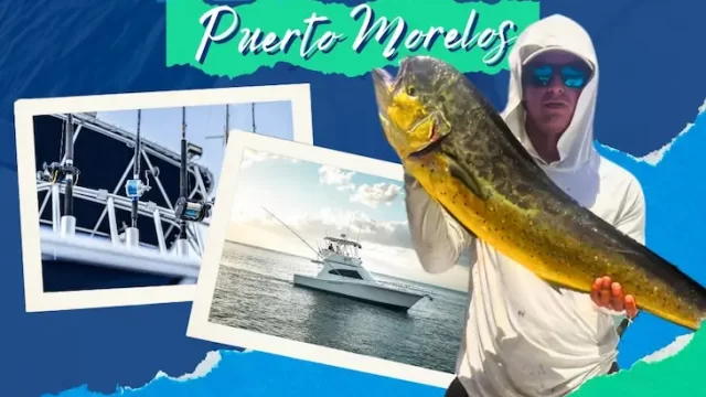 pesca en puerto morelos