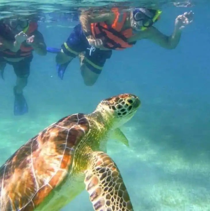 snorkel puerto morelos Max Tours