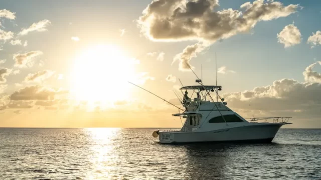 viendo el atardecer