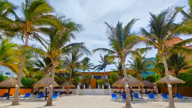 arrecifes suites