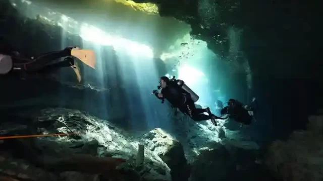 BUCEO EN CENOTE OM Delfin