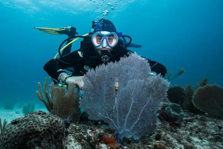 buceo arrecife