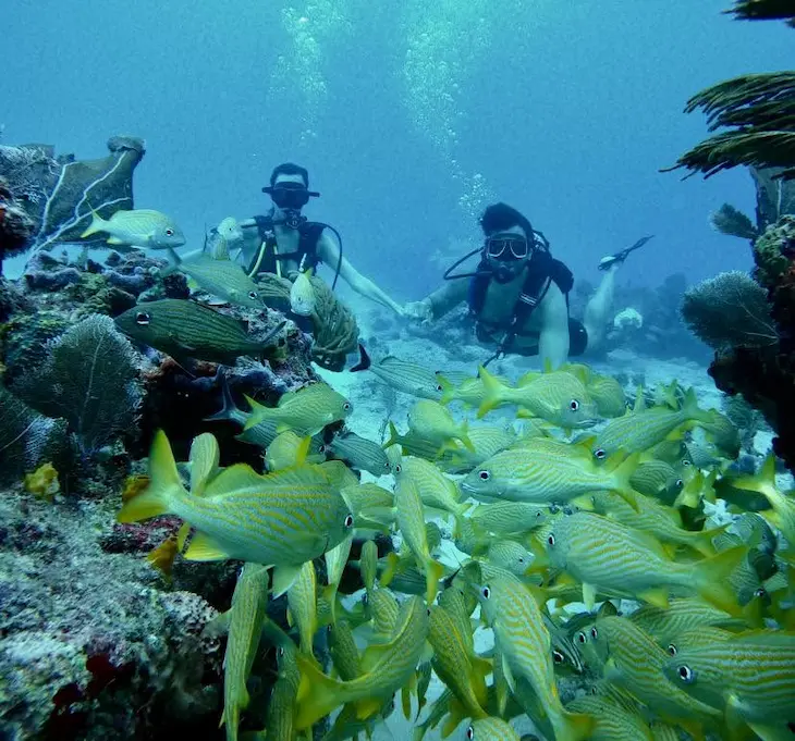 Bliss Diving Adventures Puerto Morelos – Buceo para principiantes y certificados