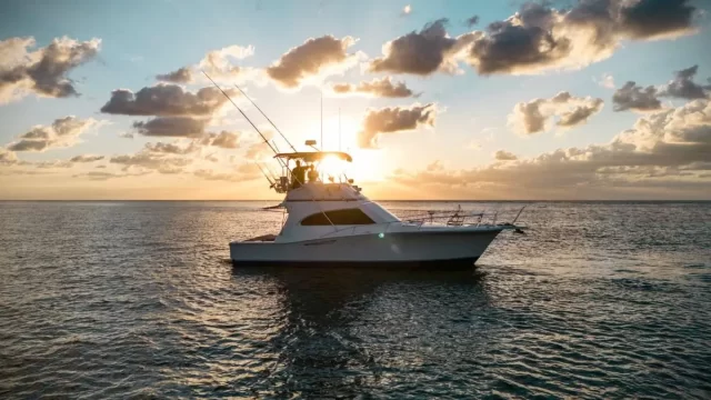 pesca Don Pepe Sportfishing