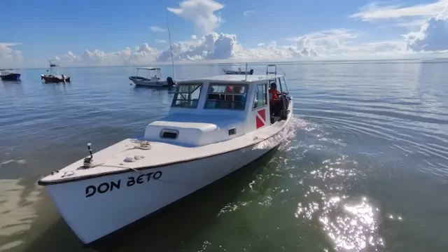 tours dorado buceo