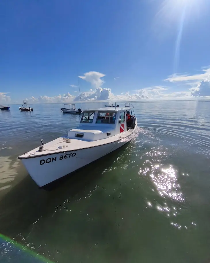 tours dorado buceo