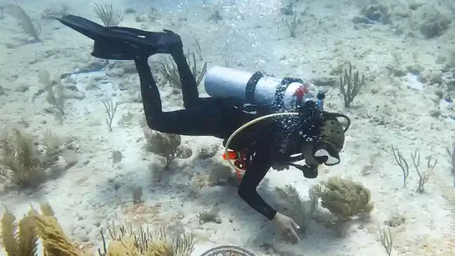 Hombre buceando en puerto morelos