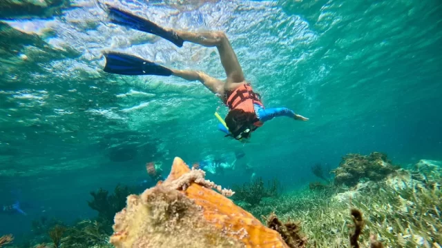 Lighthouse Tours snorkel