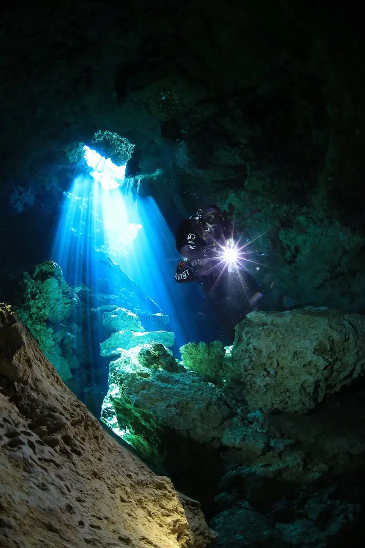 Squalo Divers Puerto Morelos – Buceo, cursos PADI y snorkel