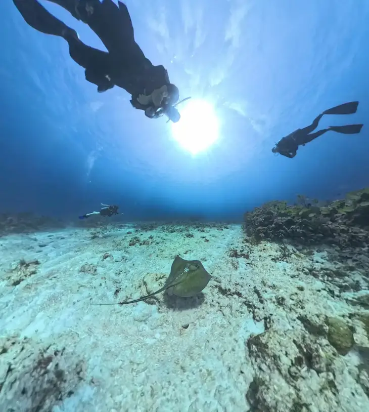 buceo en arrecife