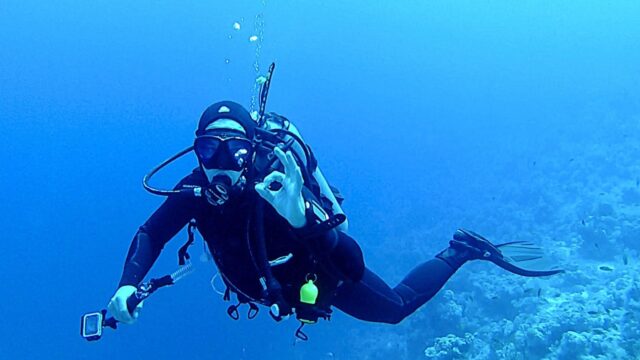 buceo en arrecife MExplor