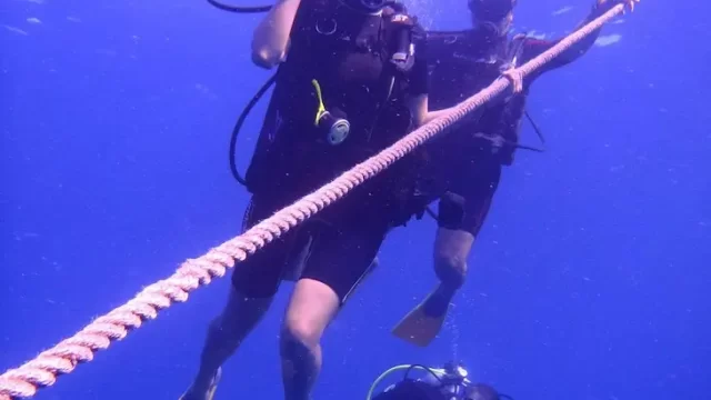 buceo Wet Set Diving