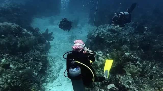 buceo en puerto morelos