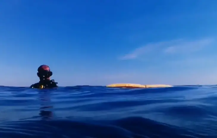 Dive Zone Puerto Morelos – Buceo en arrecife y cursos PADI