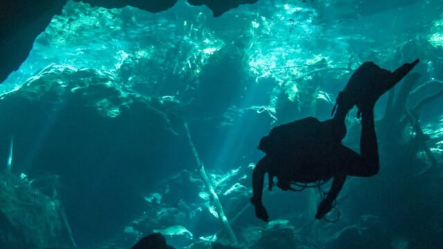 buceo en caverna MExplor