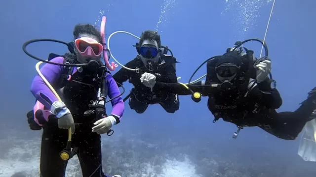 buceo arrecife
