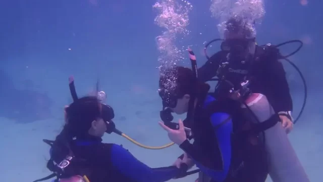 buceo en puerto morelos Wet Set Diving