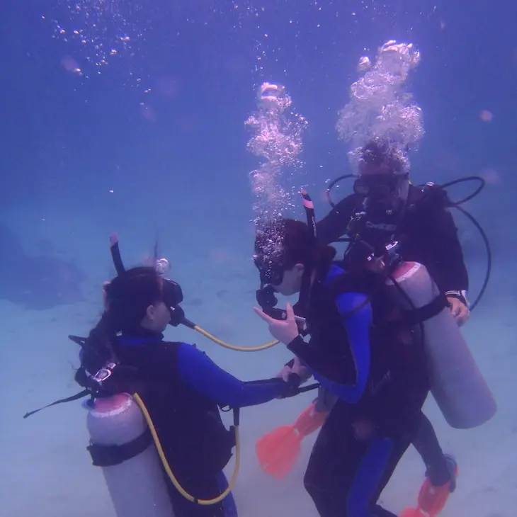 buceo en puerto morelos Wet Set Diving