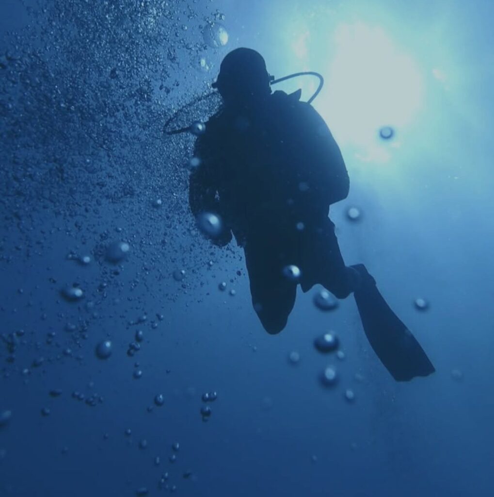 buceo puerto morelos