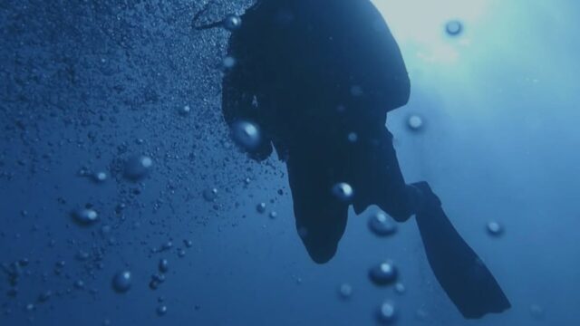 buceo puerto morelos