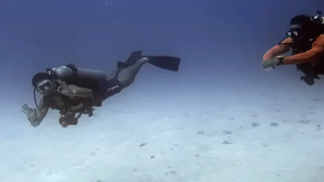 buceo