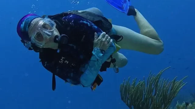 buceo puerto morelos