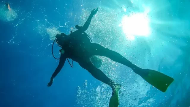 diving puerto morelos