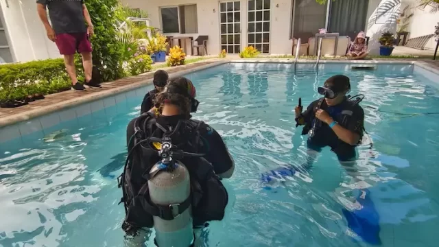 cursos de buceo dorado buceo