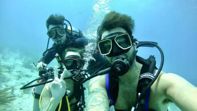 BUCEO BLISS diving